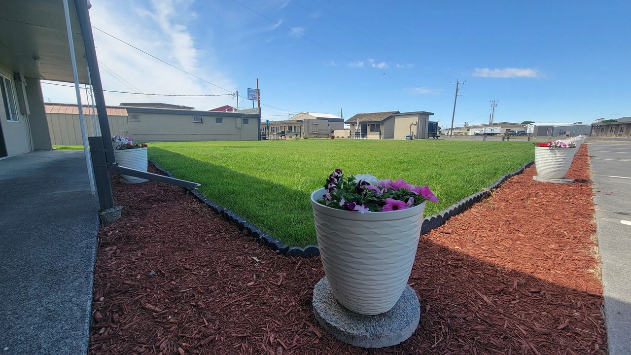 Photo of Others in Othello