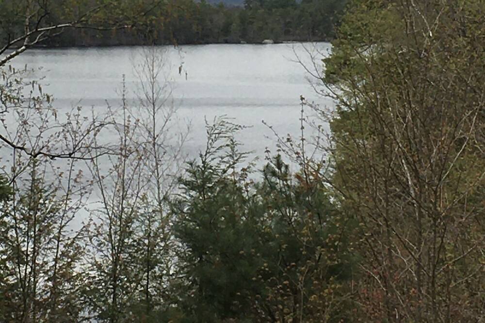 Photo of Others in Hillsboro