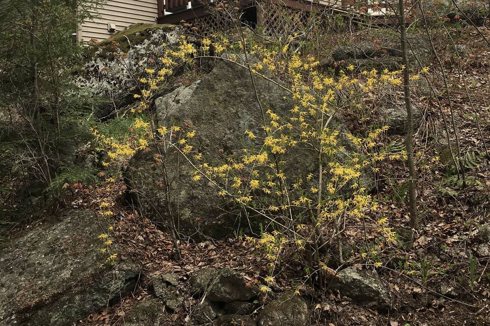 Photo of Outdoor in Hillsboro