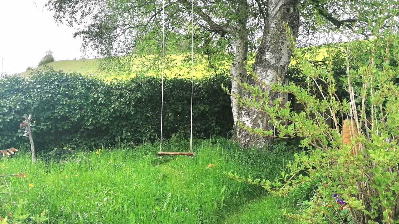 Photo of Outdoor in Heiden