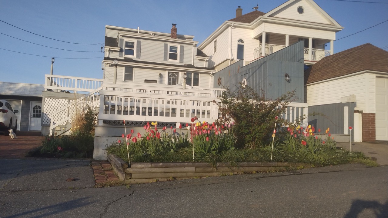 Photo of Outdoor in Swansea