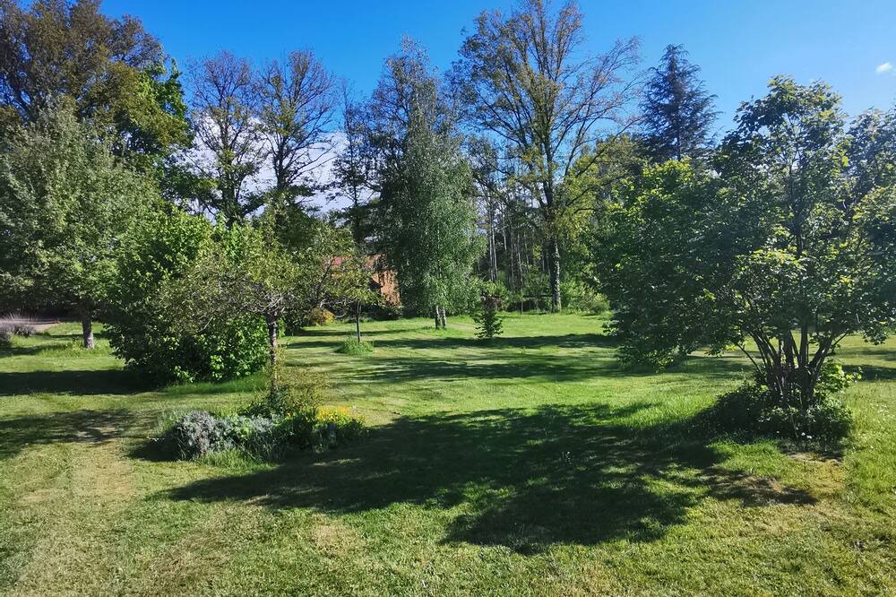 Photo of Outdoor in Coullons