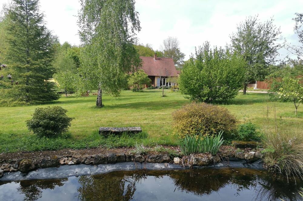 Photo of Outdoor in Coullons