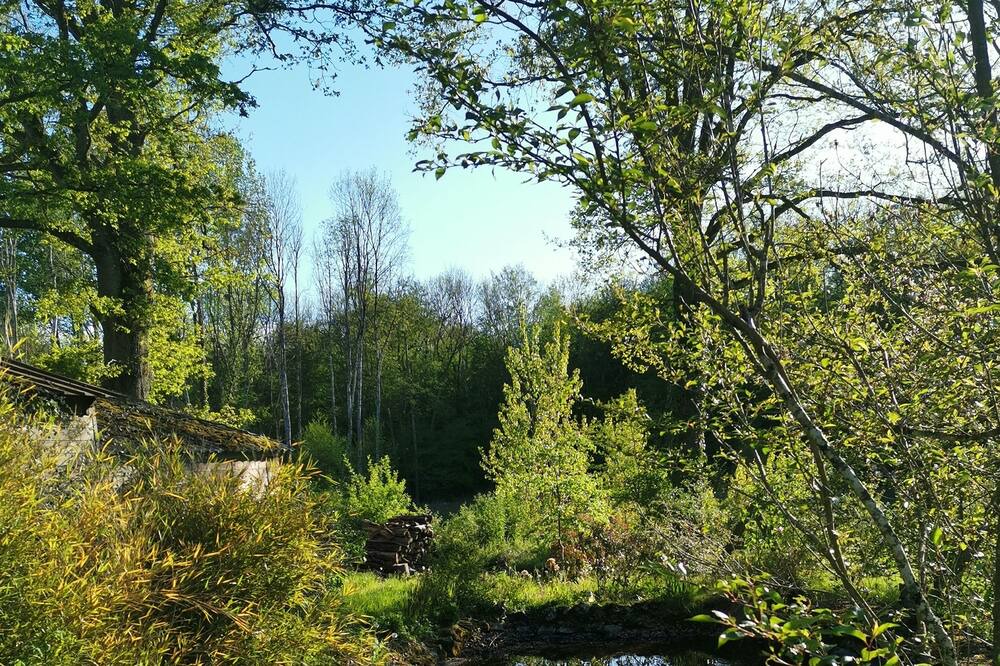 Photo of Outdoor in Coullons