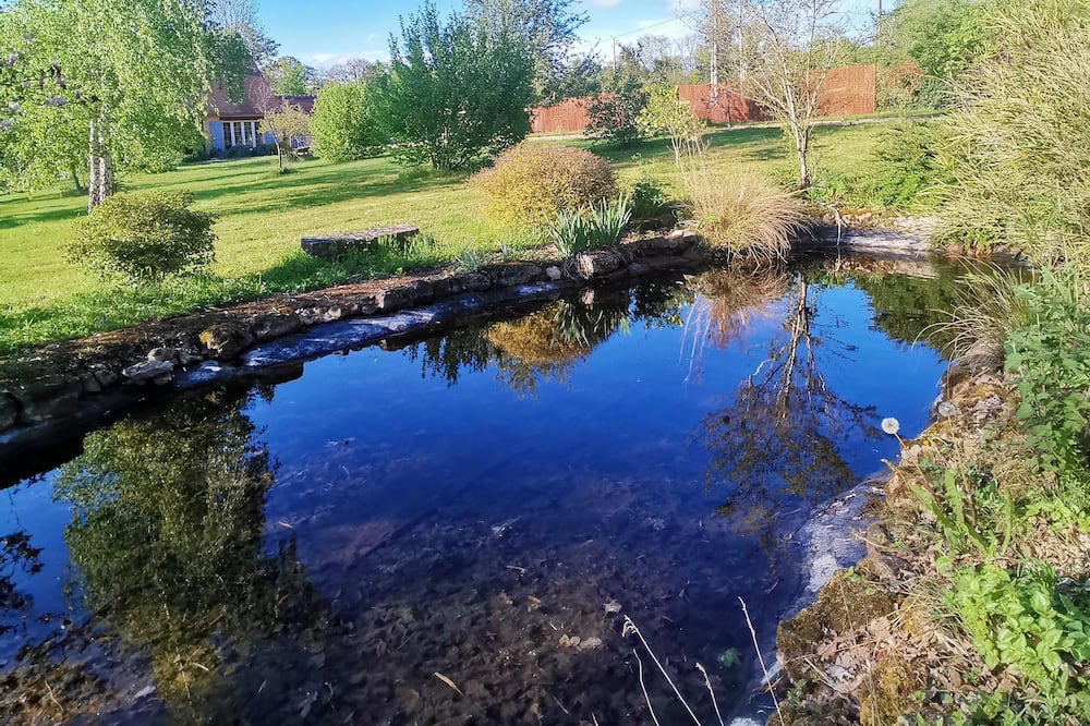 Photo of Others in Coullons