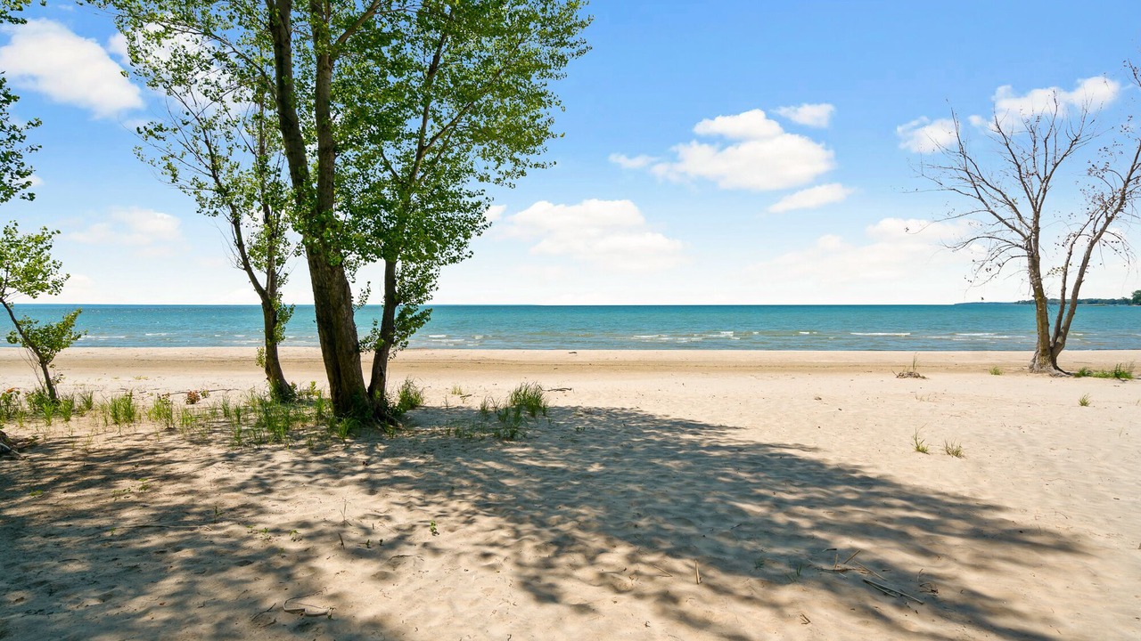 Photo of Others in Fort Erie