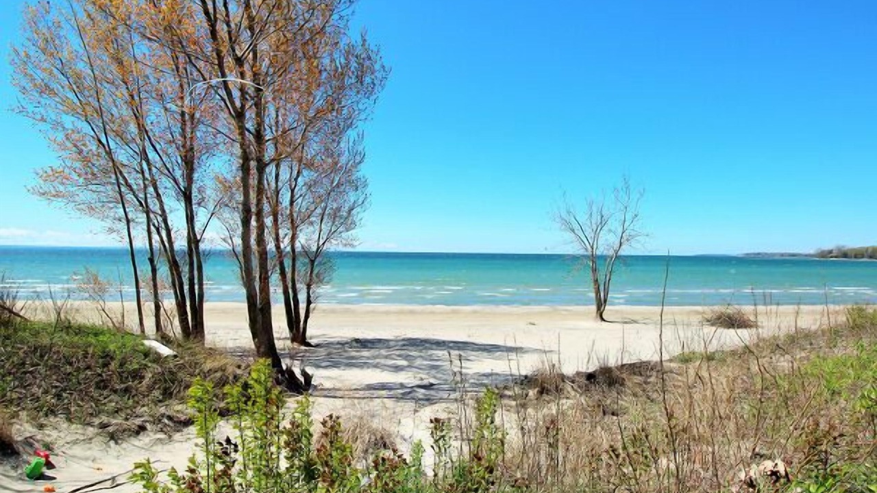 Photo of Others in Fort Erie