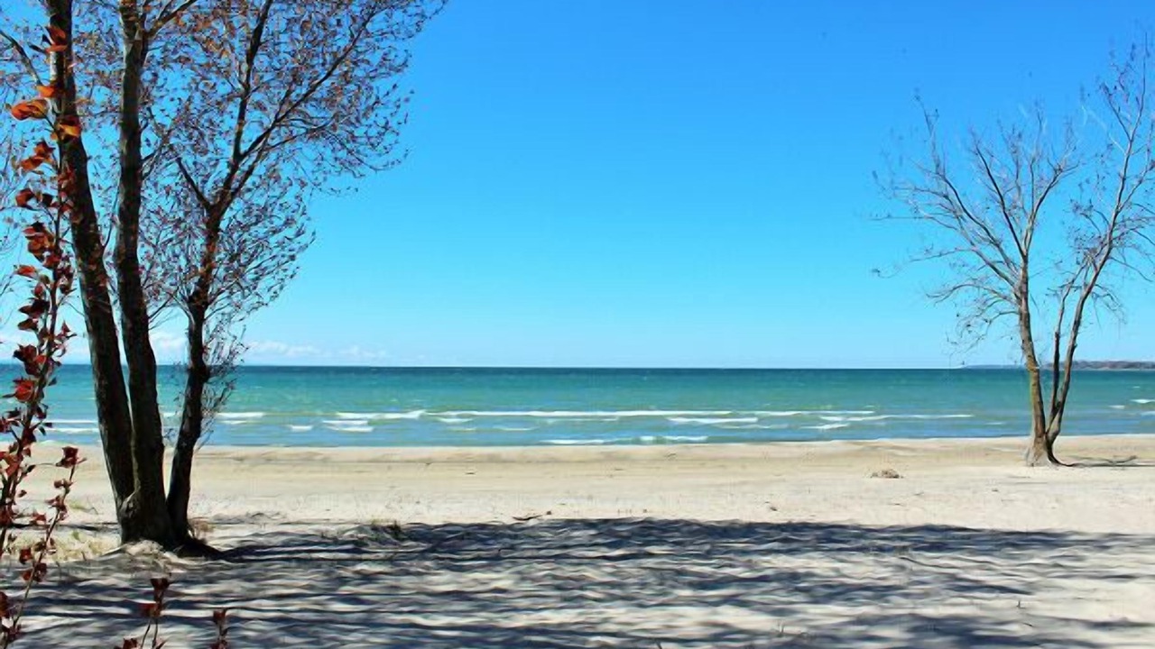 Photo of Others in Fort Erie