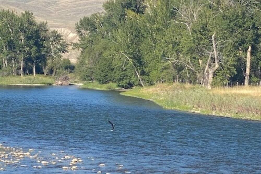 Photo of Others in Carmen