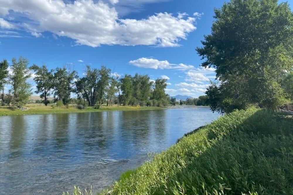 Photo of Others in Carmen