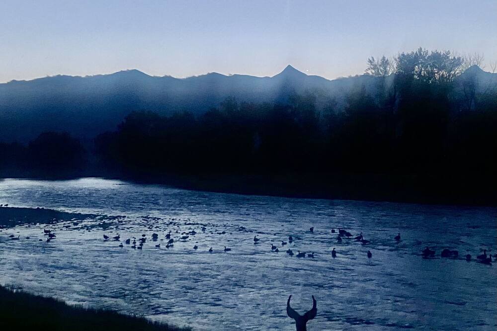 Photo of Others in Carmen