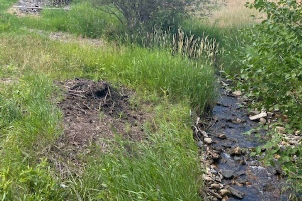 Photo of Others in Carmen