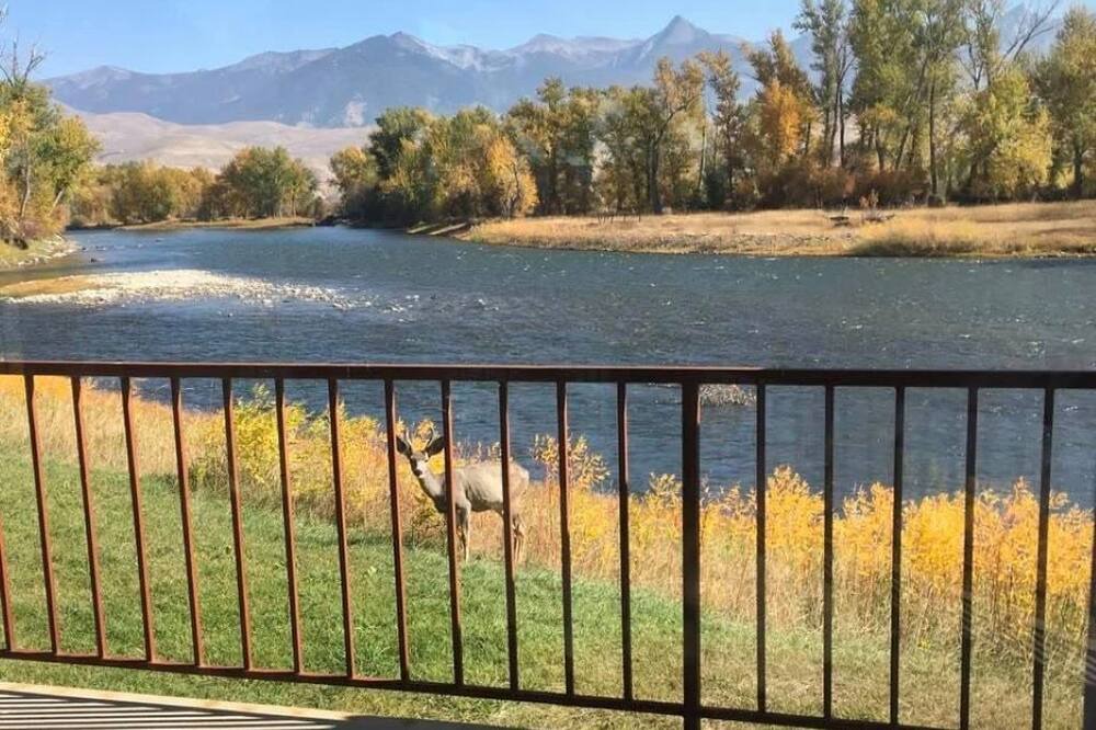 Photo of Others in Carmen