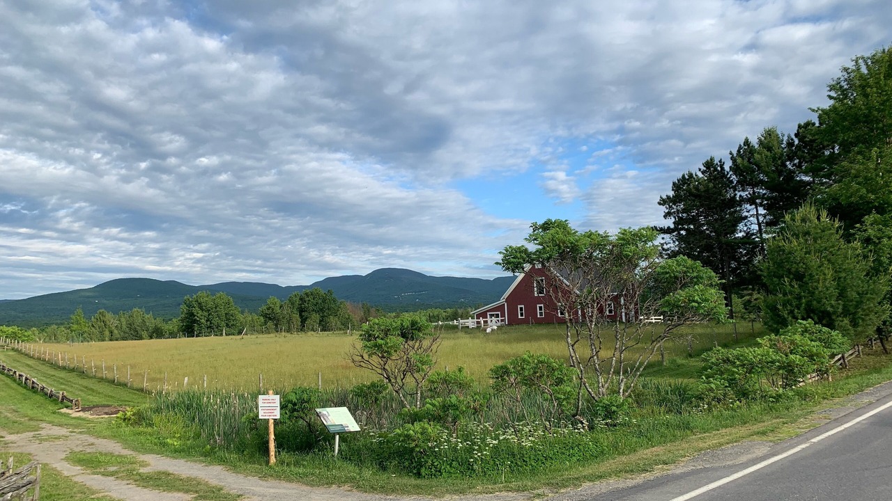 Photo of Outdoor in Sutton