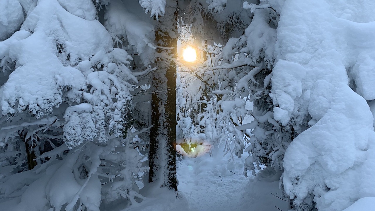 Photo of Outdoor in Sutton