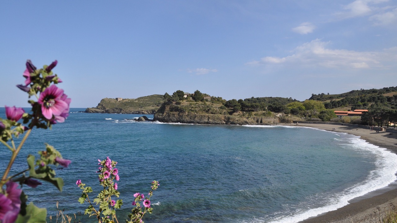 Photo of Others in Sorede