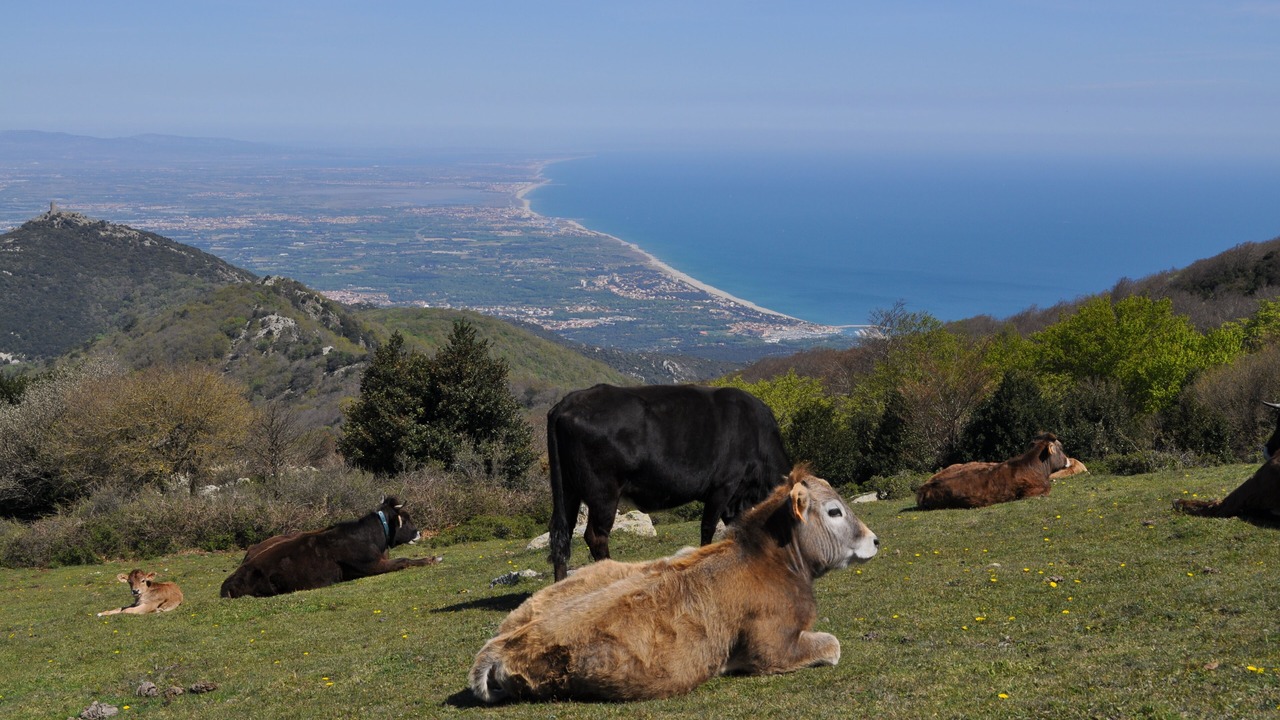 Photo of Outdoor in Sorede