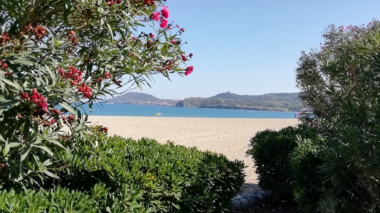 Photo of Others in Sorede