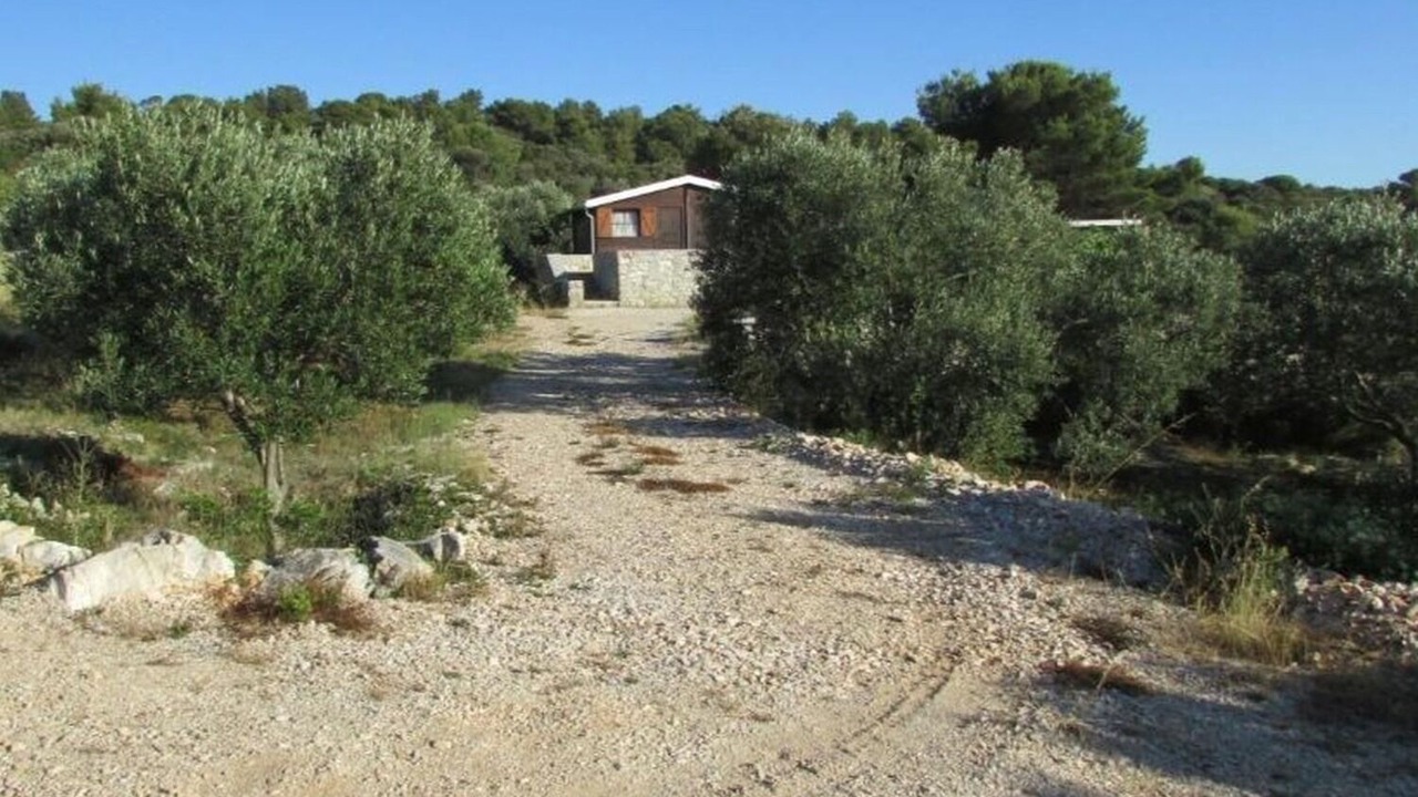 Photo of Outdoor in Zirje