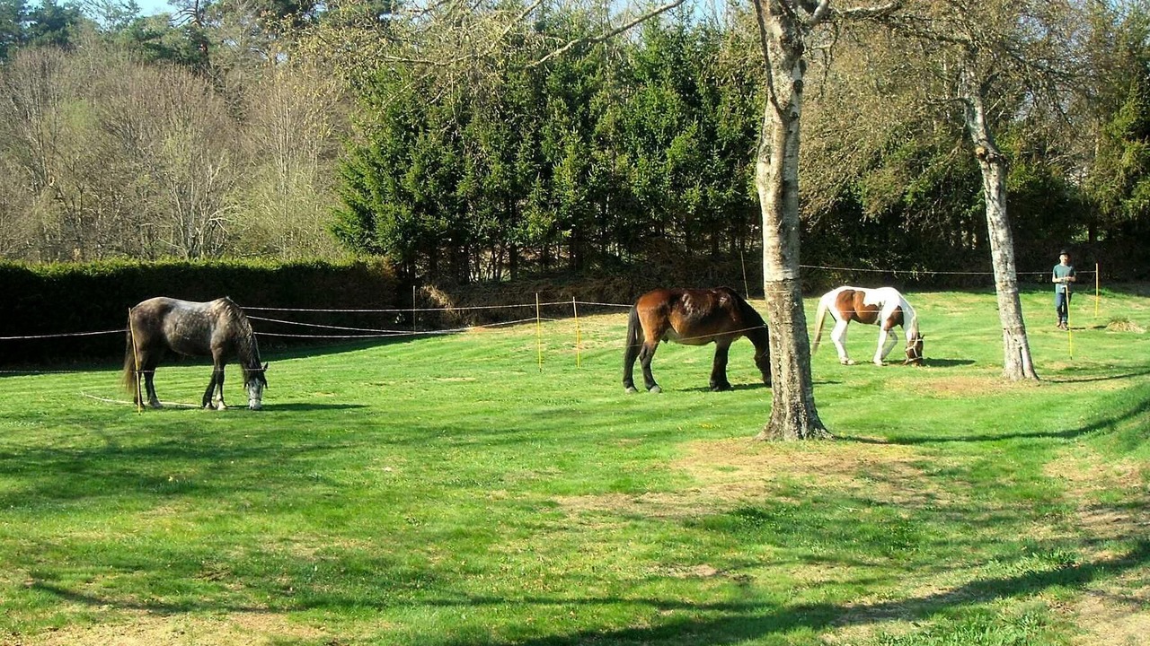 Photo of Outdoor in Le Chambon-sur-Lignon