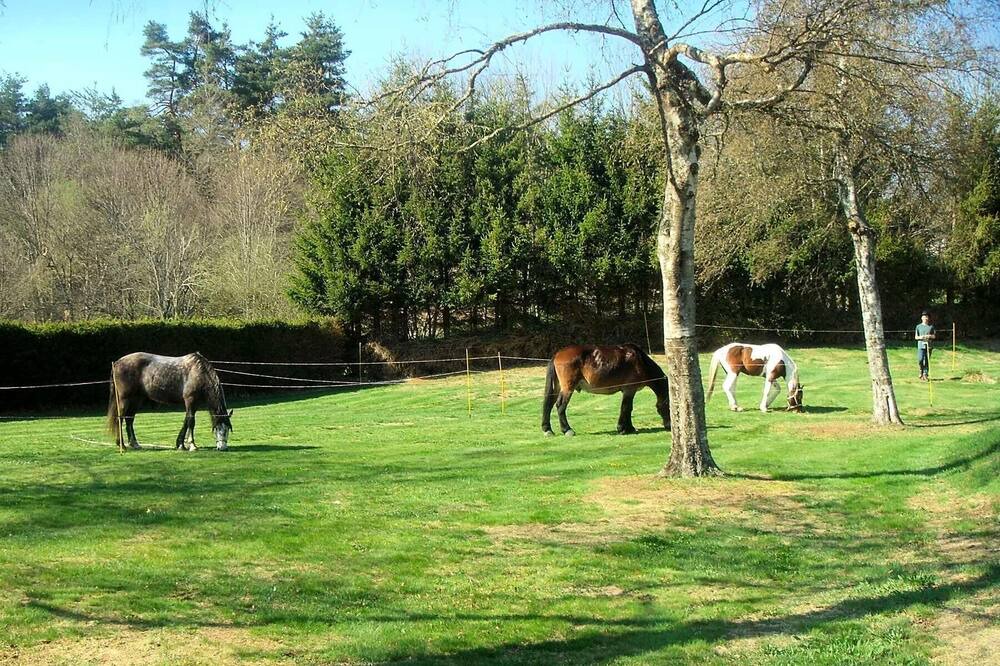 Photo of Outdoor in Le Chambon-sur-Lignon