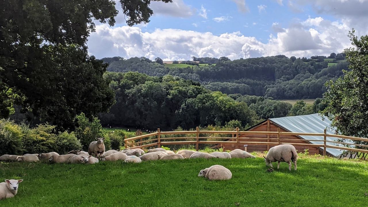 Photo of Outdoor in Great Witley