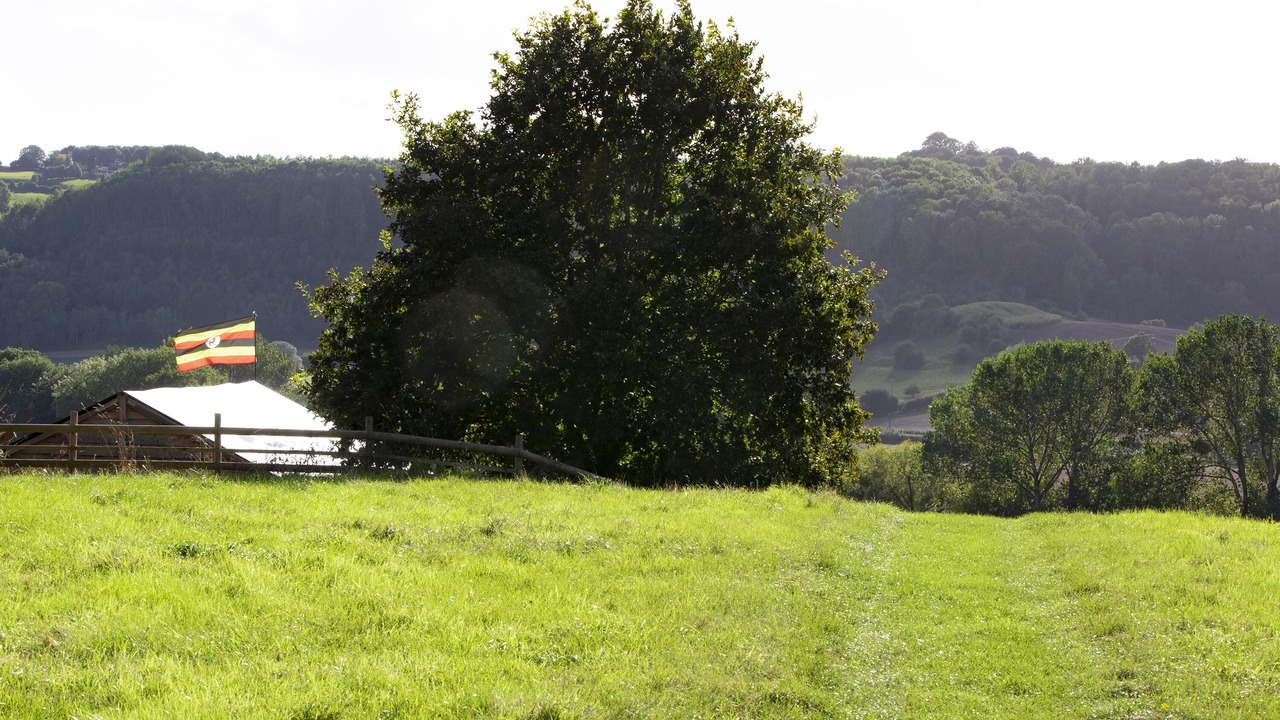 Photo of Outdoor in Great Witley