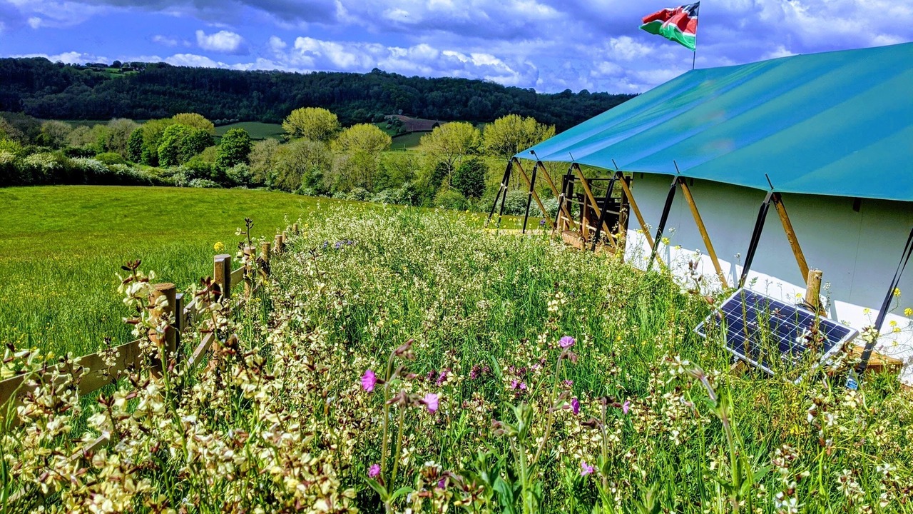 Photo of Outdoor in Great Witley