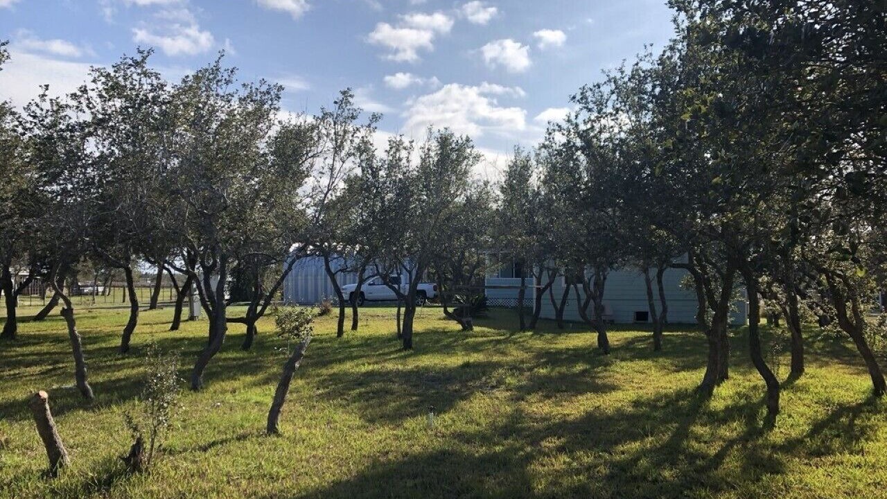 Photo of Outdoor in Rockport