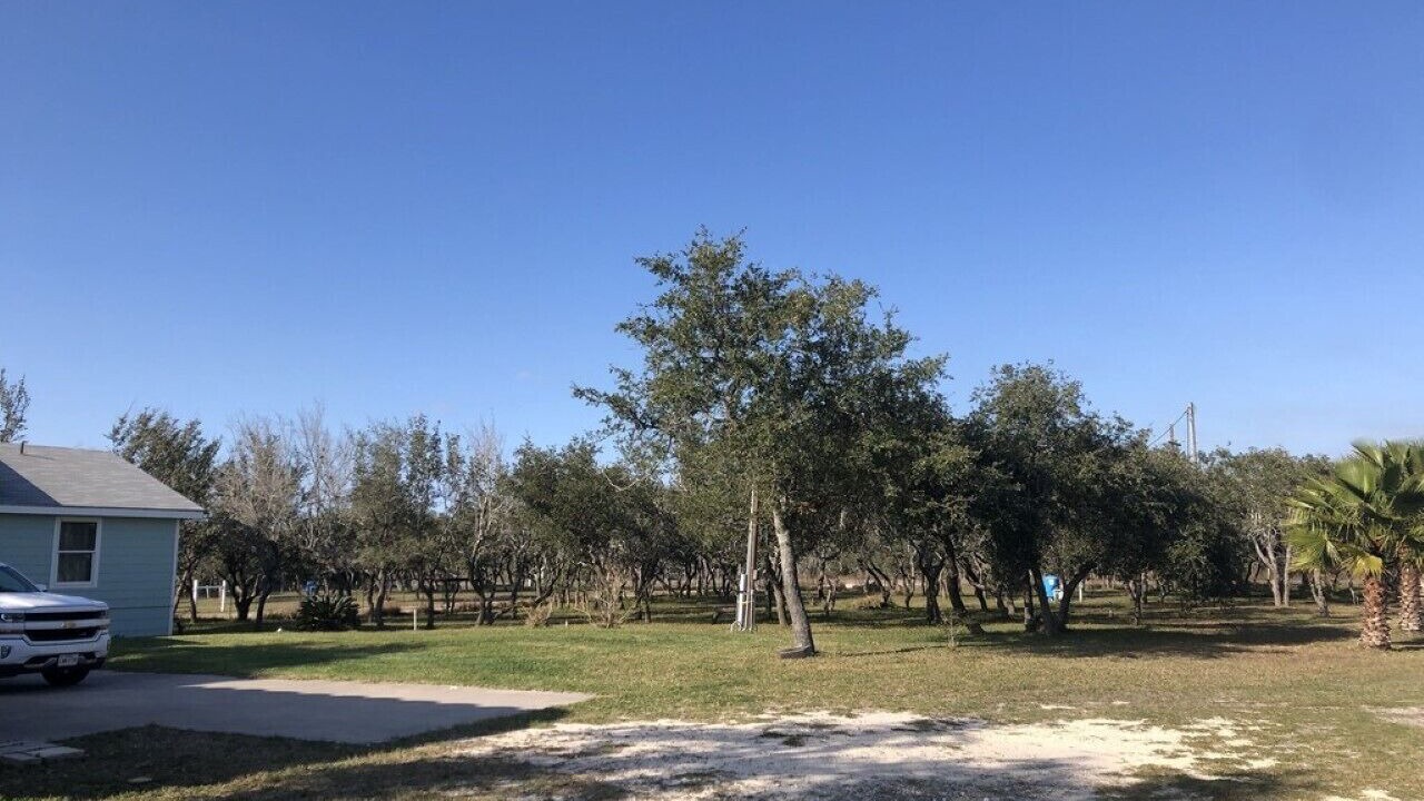 Photo of Others in Rockport