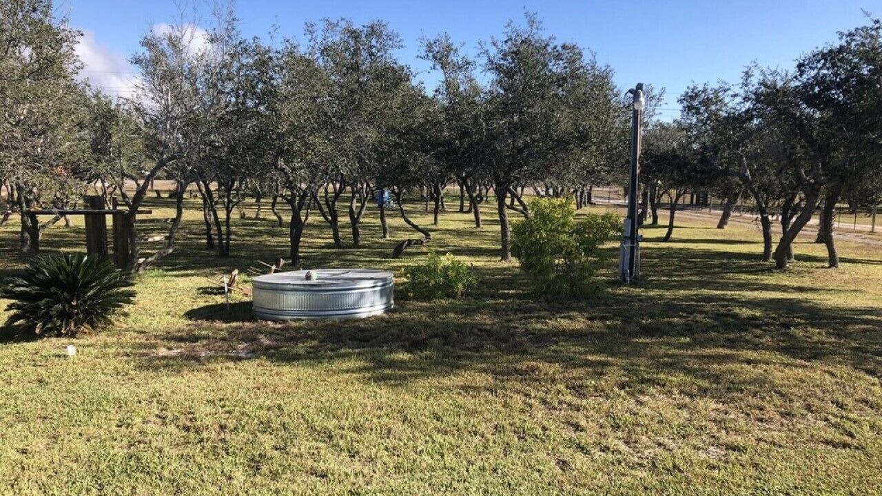 Photo of Outdoor in Rockport