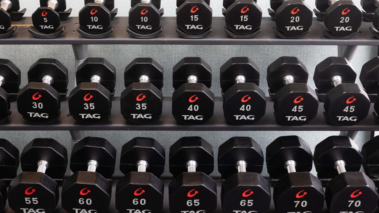 Photo of Others in Larkspur