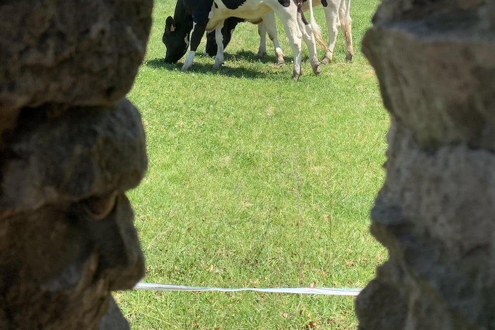 Photo of Outdoor in Varades