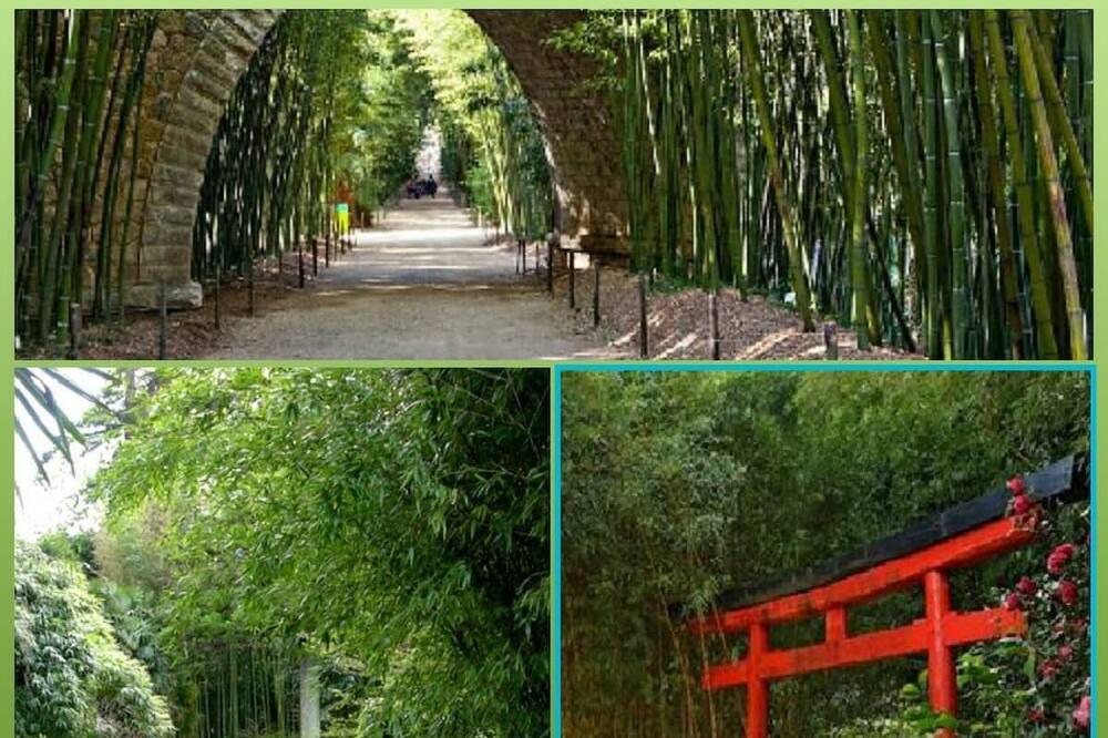 Photo of Outdoor in Centre Ville d'Ales