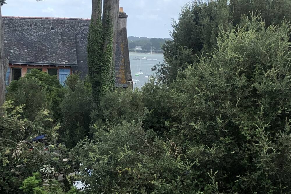 Photo of Outdoor in Ile-aux-Moines