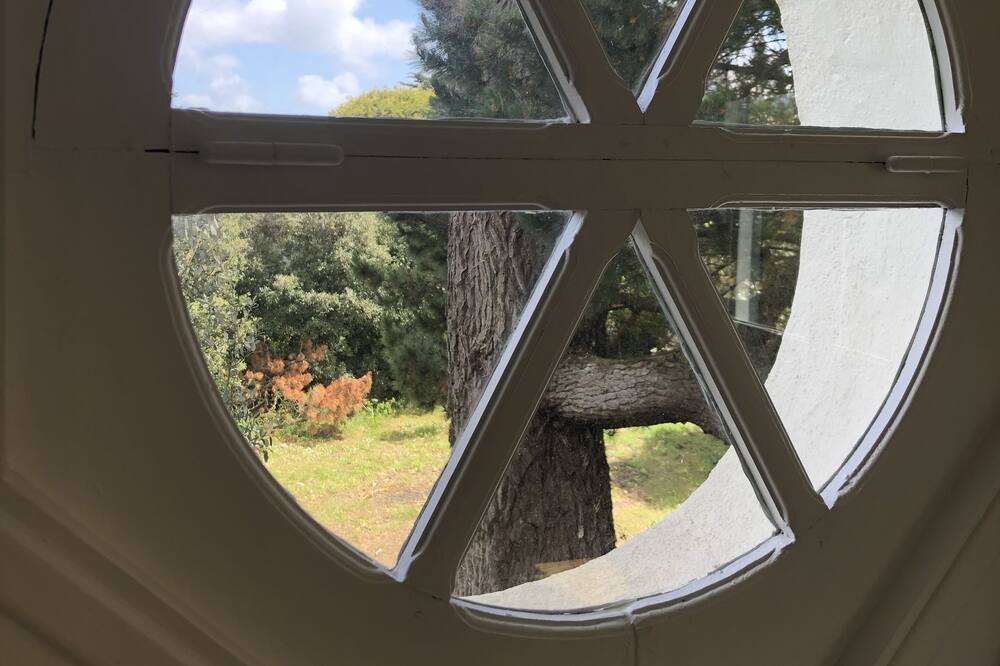 Photo of Others in Ile-aux-Moines