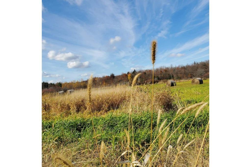Photo of Outdoor in De Peyster