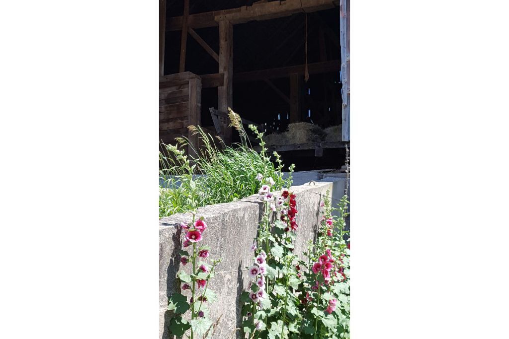 Photo of Outdoor in De Peyster