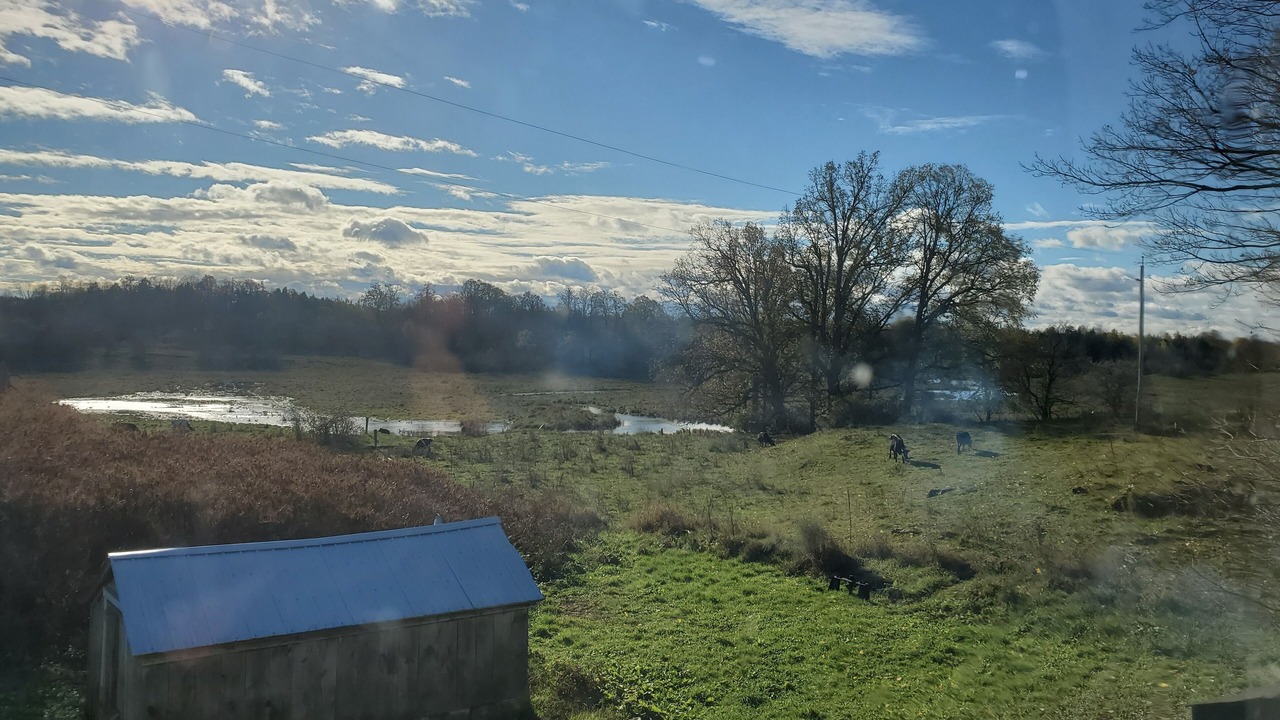 Photo of Outdoor in De Peyster