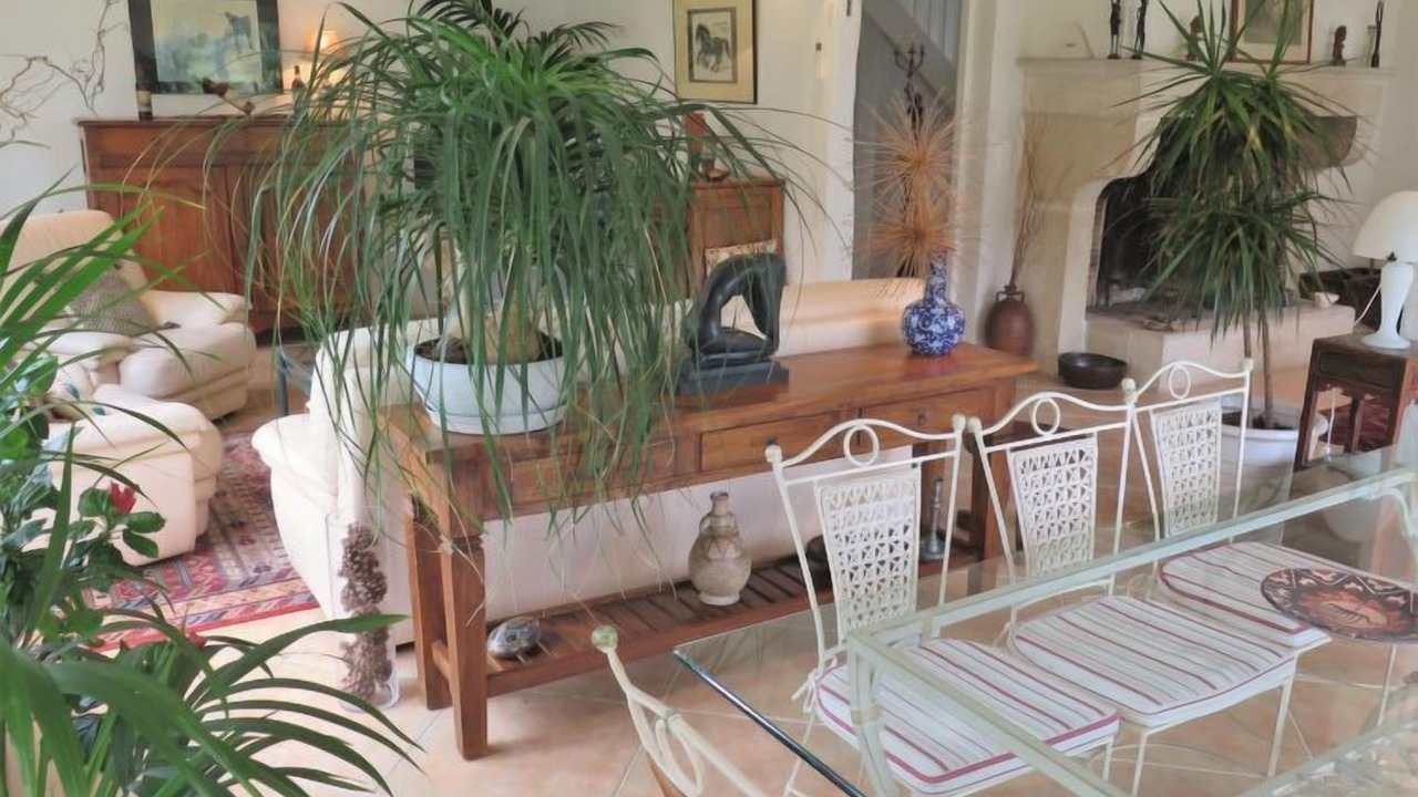 Photo of Others in Losse