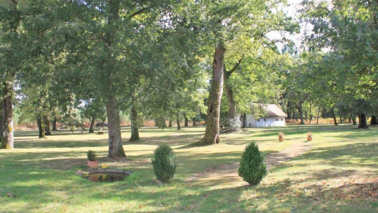 Photo of Outdoor in Losse