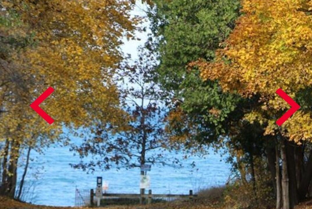 Photo of Others in Southampton