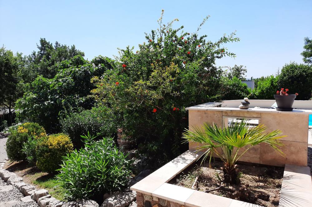 Photo of Outdoor in Lussas