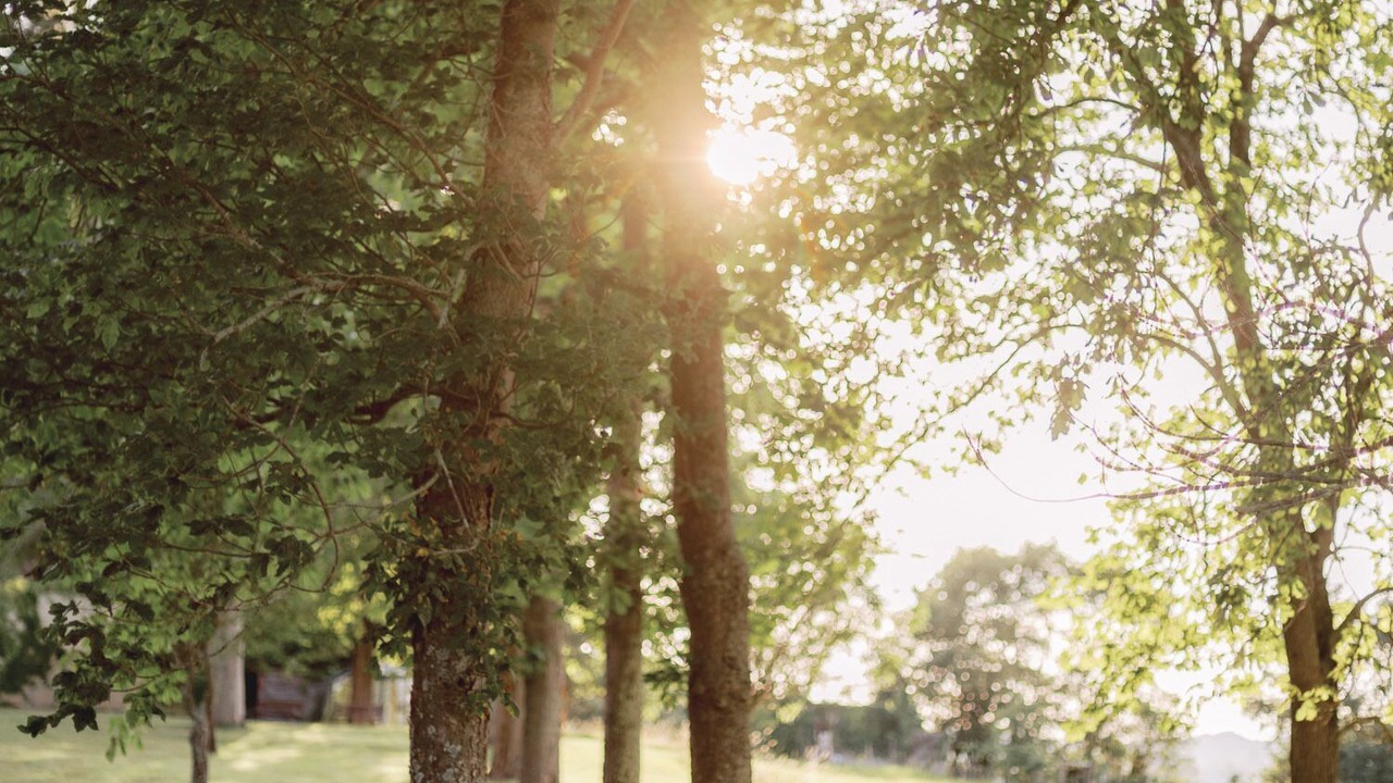 Photo of Outdoor in La Courtete