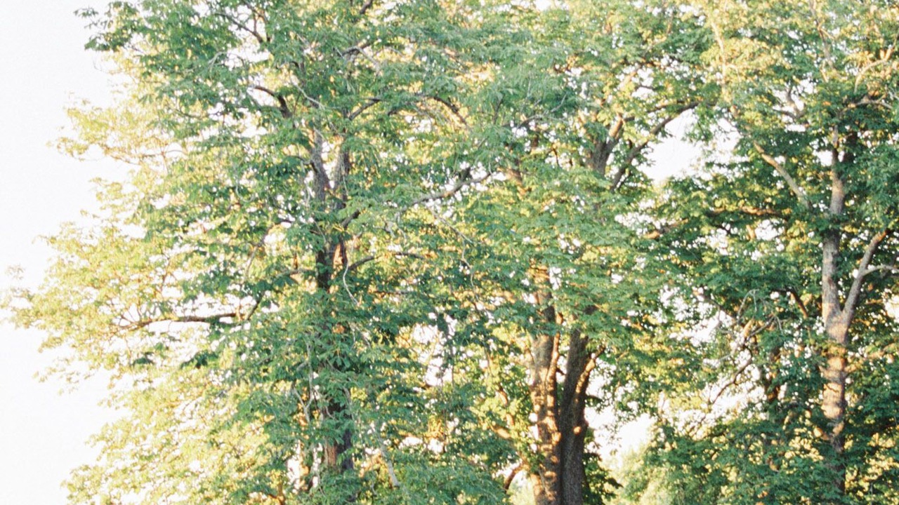 Photo of Others in La Courtete