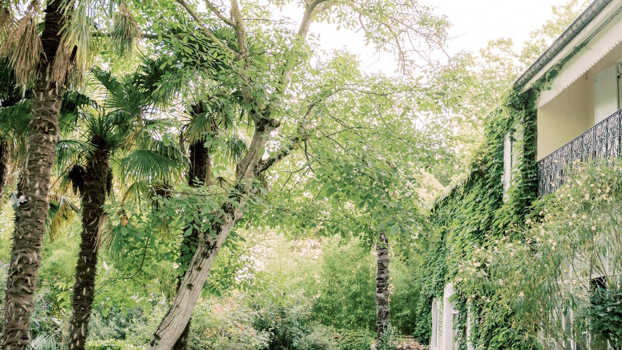 Photo of Outdoor in La Courtete