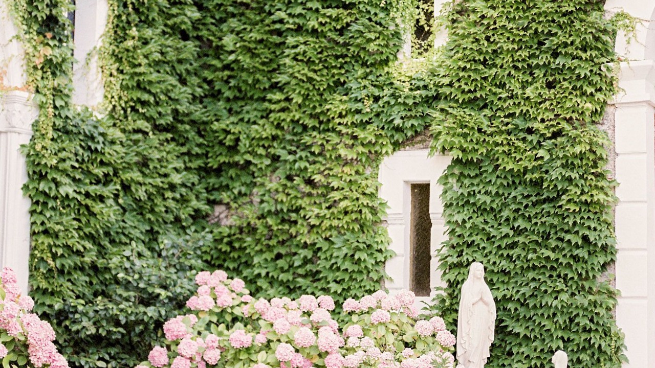 Photo of Outdoor in La Courtete