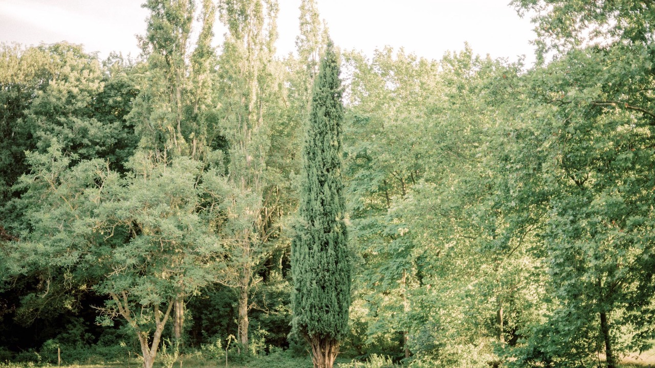 Photo of Outdoor in Mazerolles-du-Razes