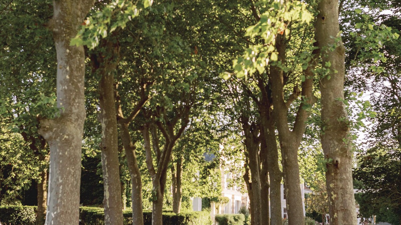 Photo of Outdoor in Mazerolles-du-Razes