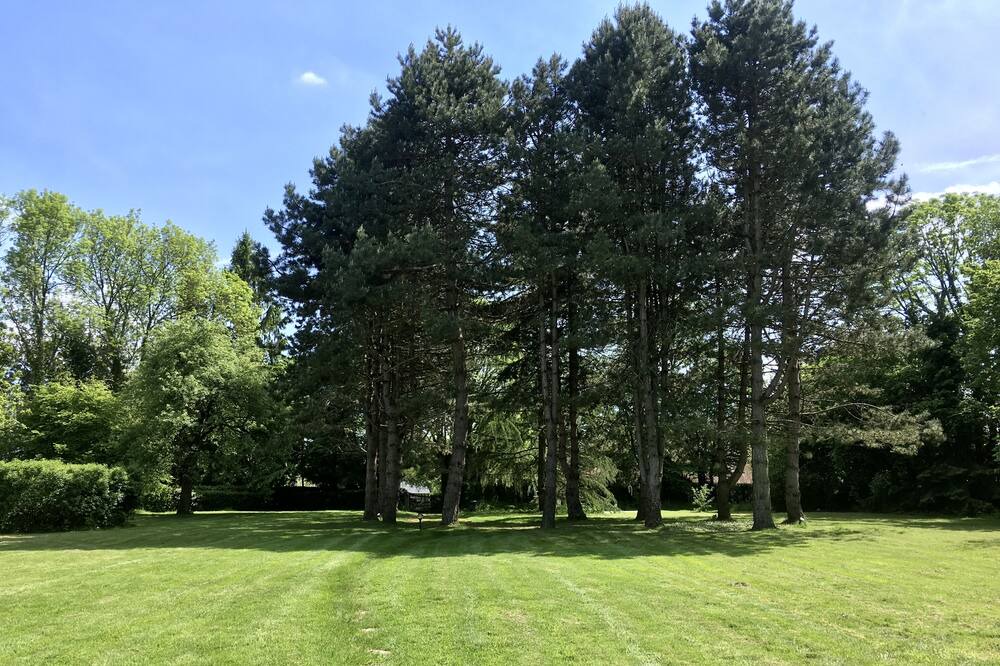 Photo of Outdoor in Le Planquay